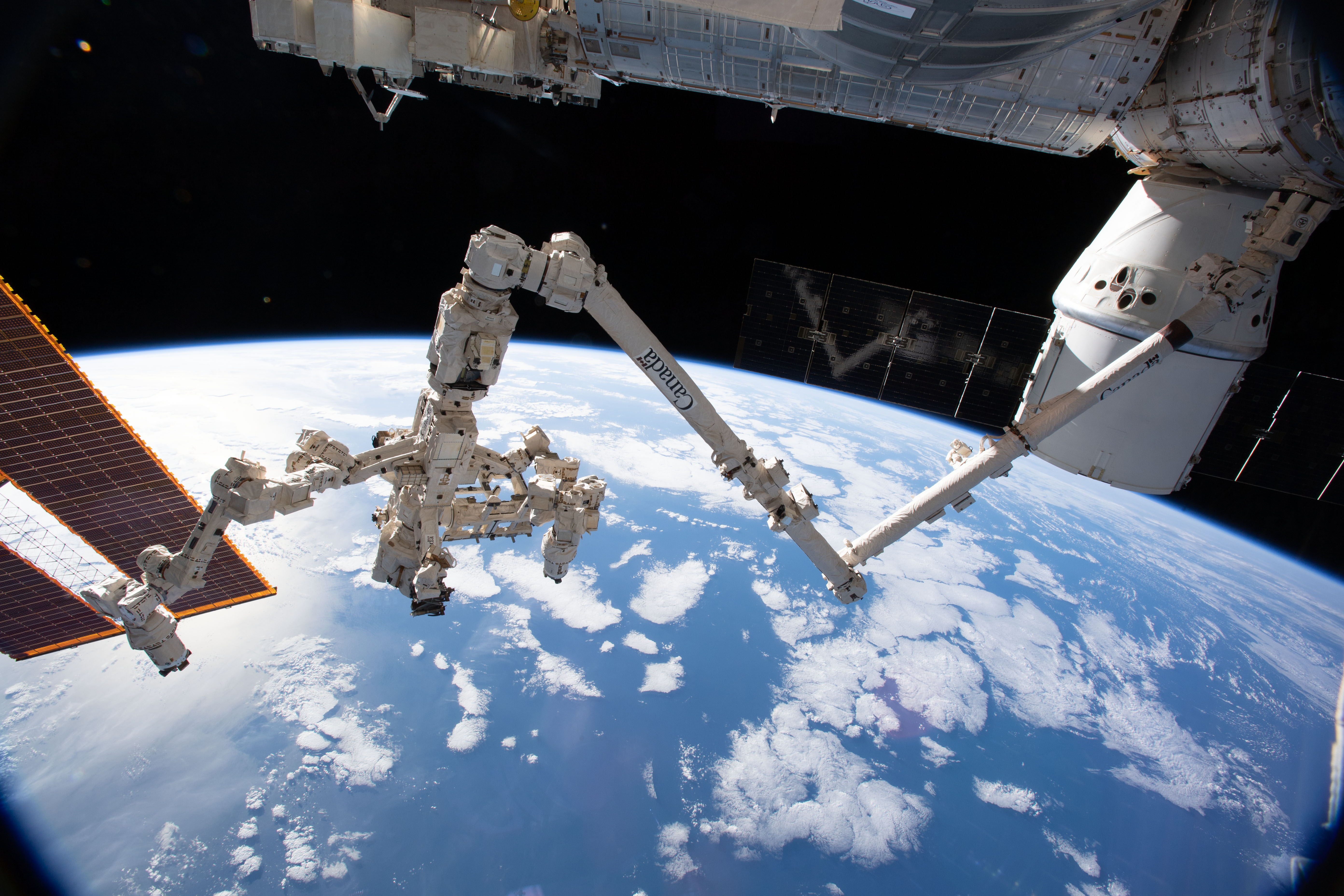 Towarowy statek Dragon zacumowany do Międzynarodowej Stacji Kosmicznej (Źródło: NASA)