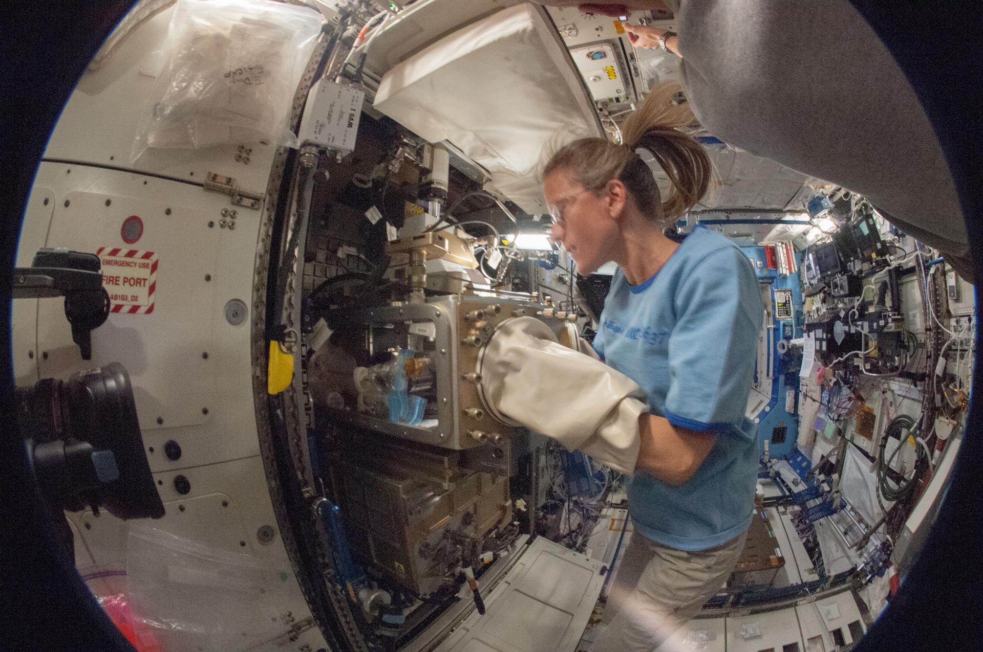 Astronautka Karen Nyberg przeprowadzająca badania w ramach poprzedniego eksperymentu, ACE-1 (Advanced Colloids Experiment) (Źródło: NASA)