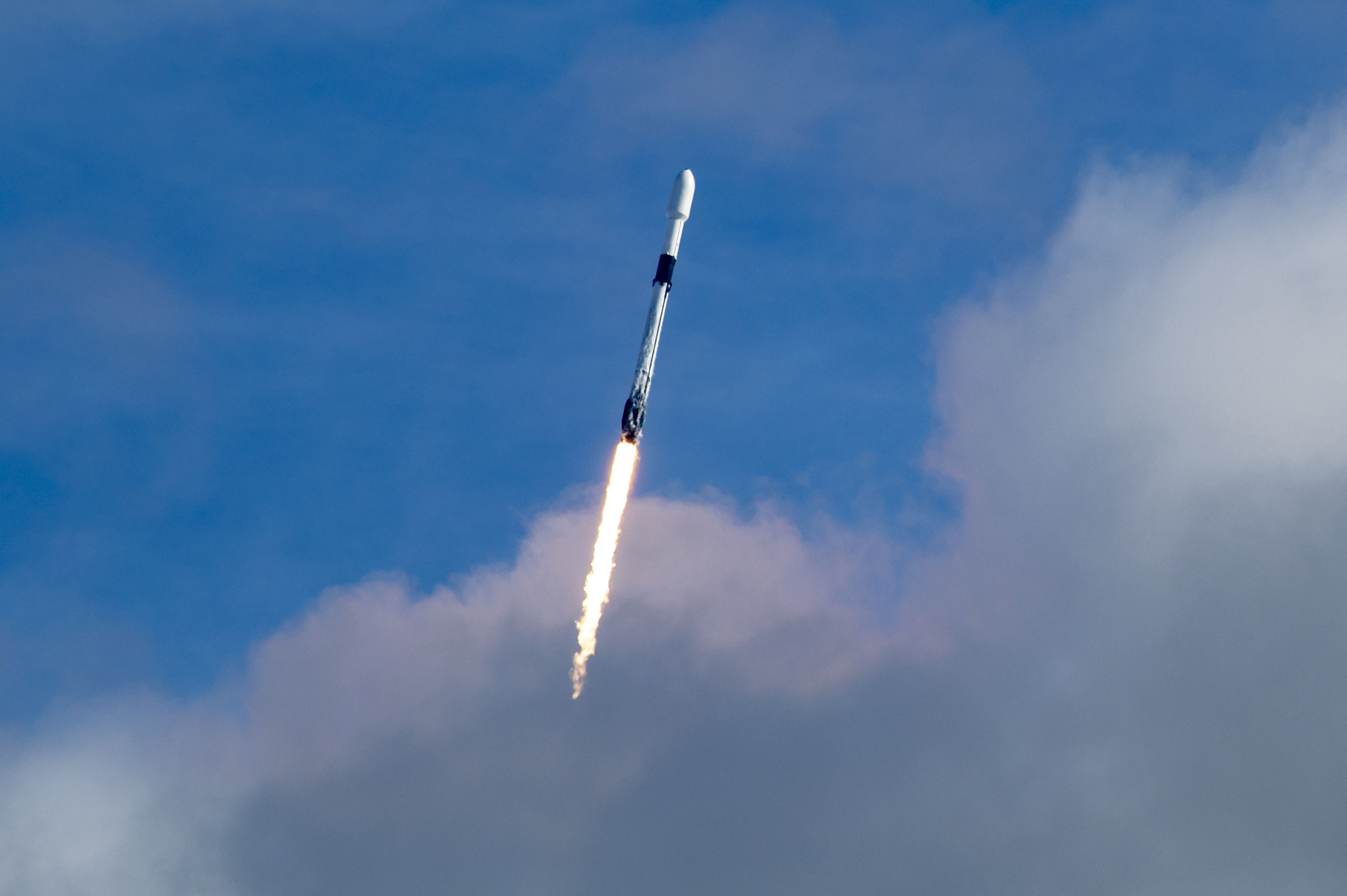 Start rakiety Falcon 9 z misją Transporter-1 (Źródło: SpaceX)
