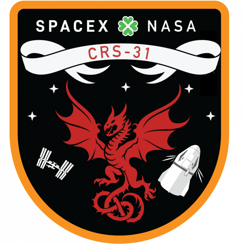 CRS-31